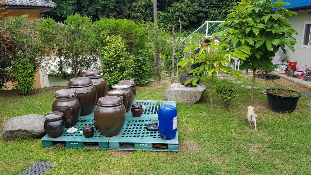 단독