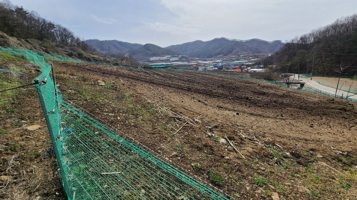 토지/임야 - 전