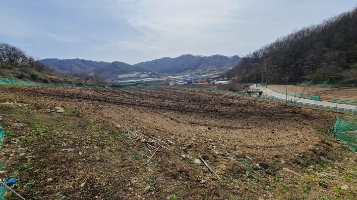 토지/임야 - 전