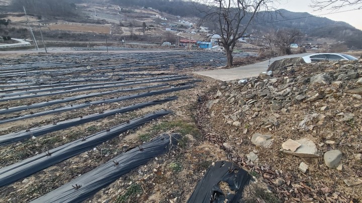 토지/임야 - 전