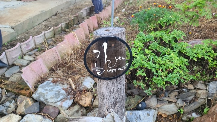토지/임야 - 대