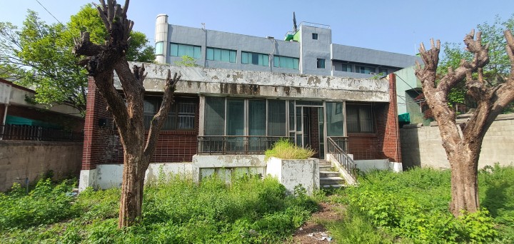 단독