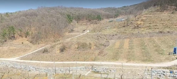 토지/임야 - 과수원
