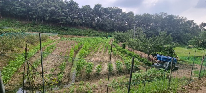 토지/임야 - 전