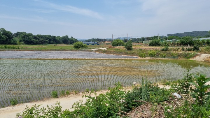 토지/임야 - 답