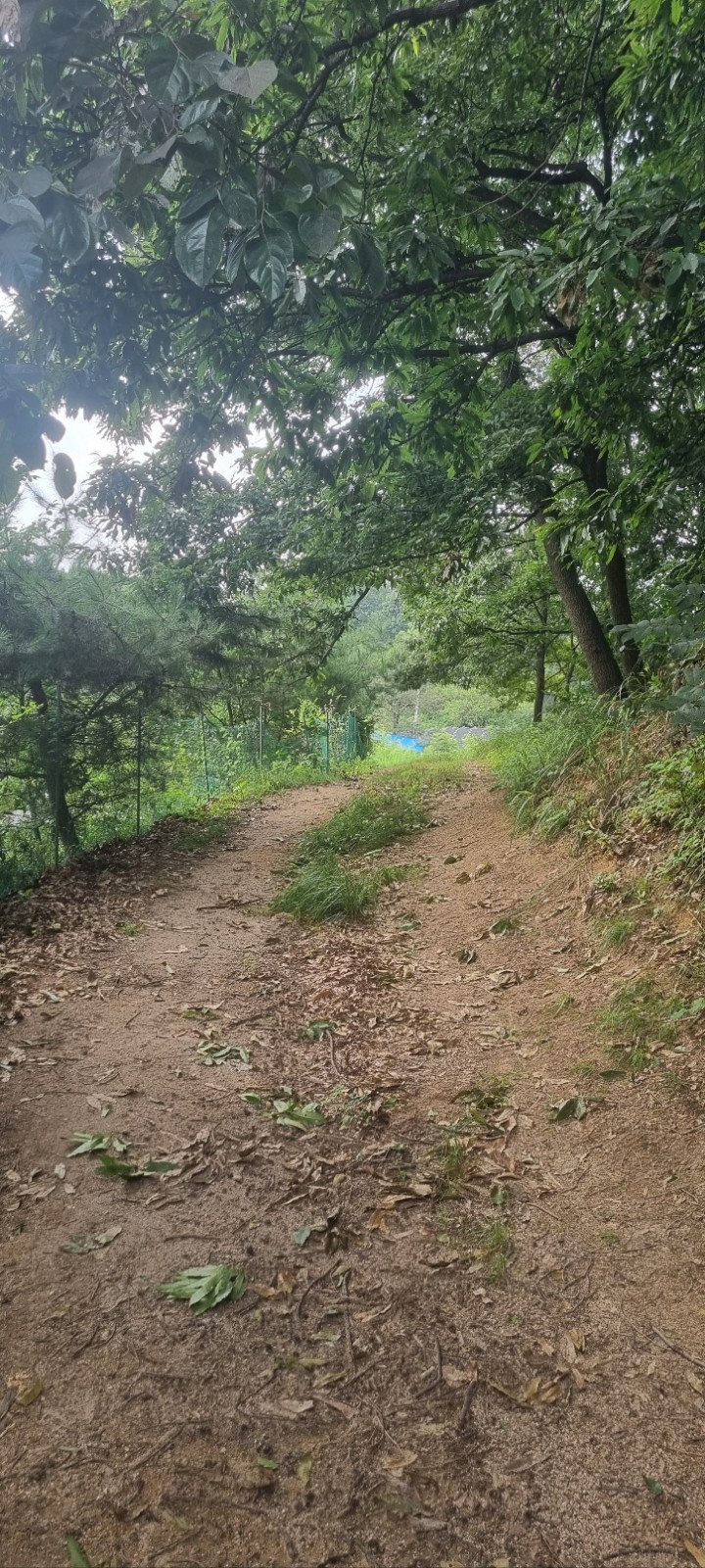 토지/임야 - 전