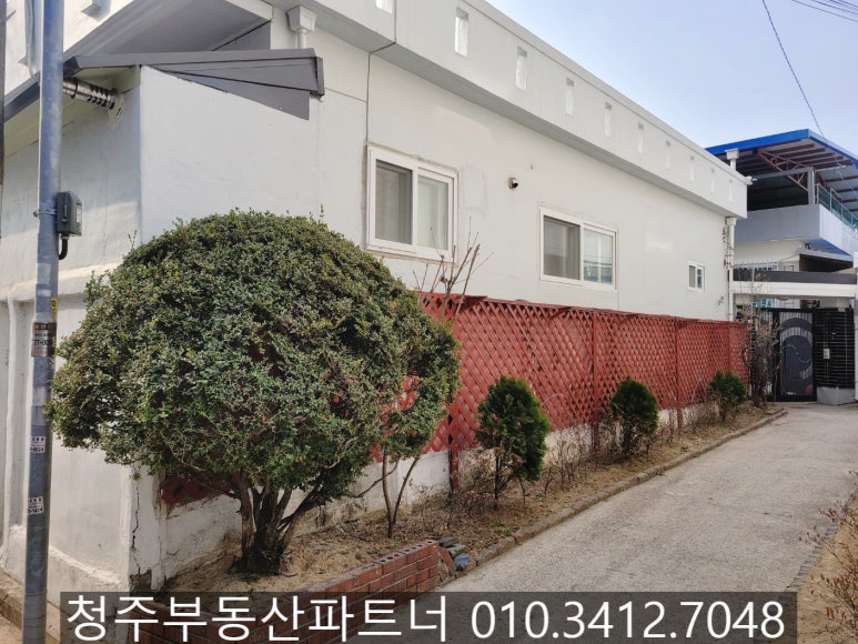 단독