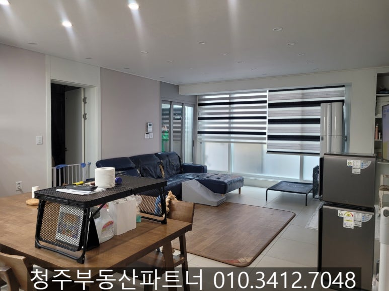 단독