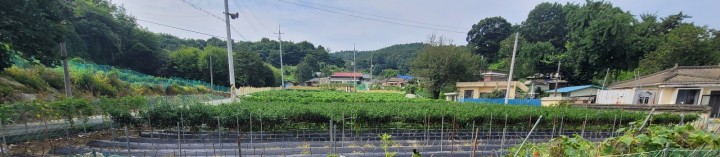 토지/임야 - 전