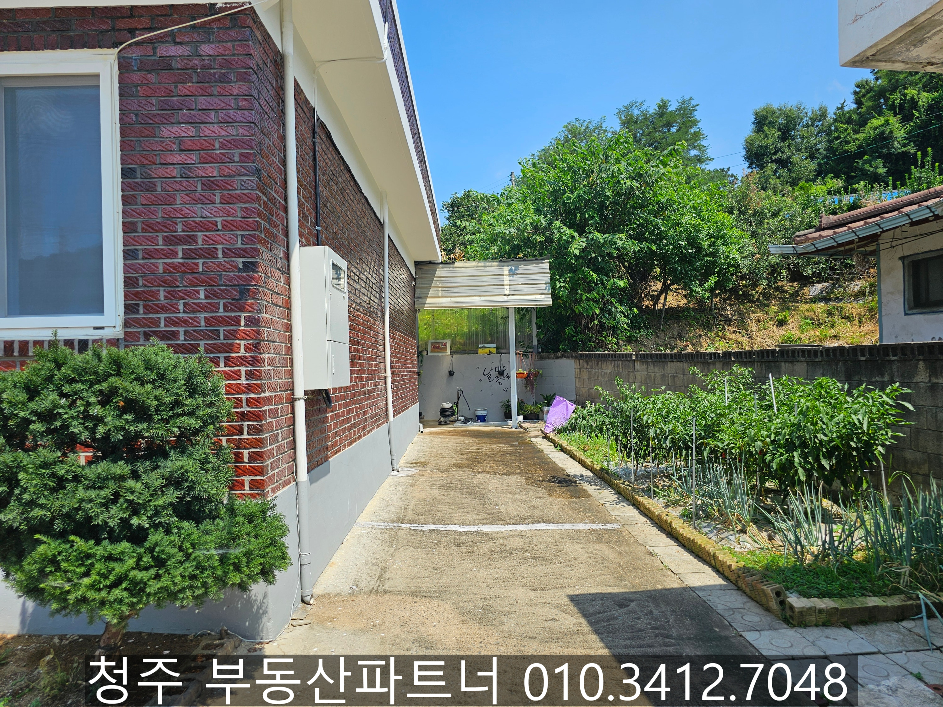 단독