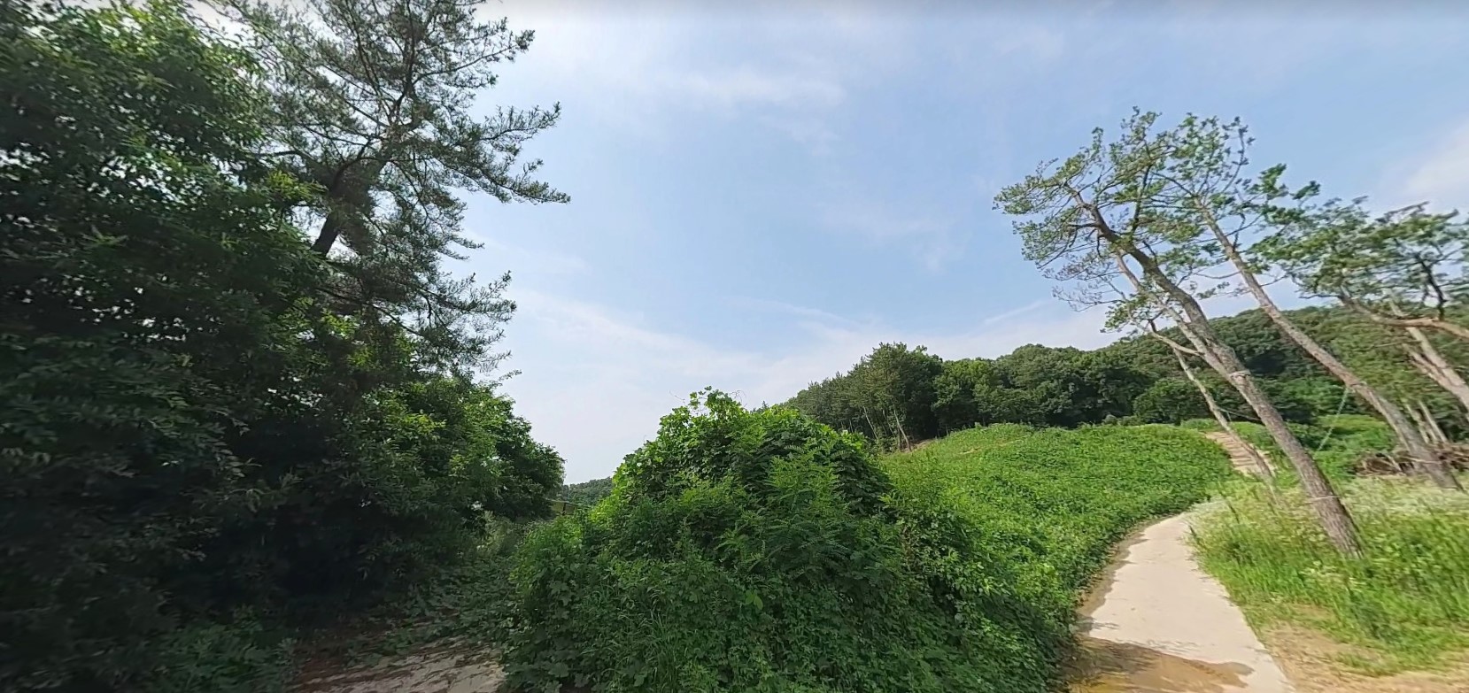 토지/임야 - 임야