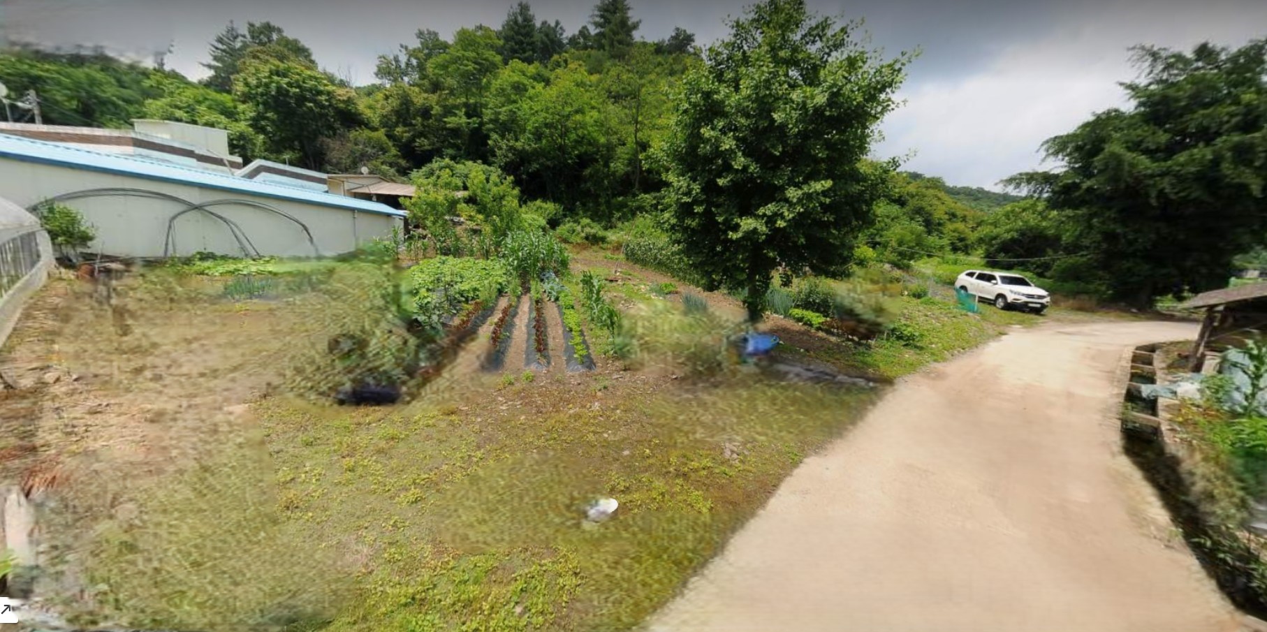 토지/임야 - 대