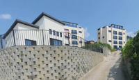 다세대
