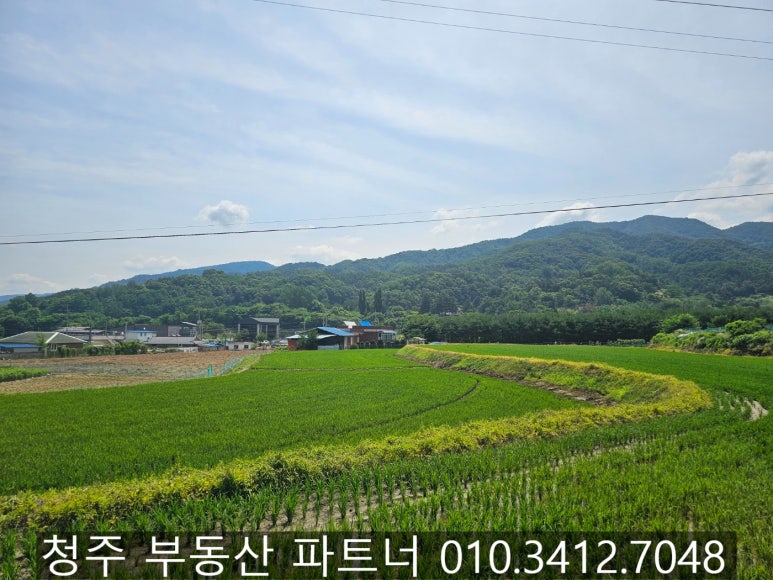 토지/임야 - 답
