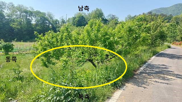 토지/임야 - 전
